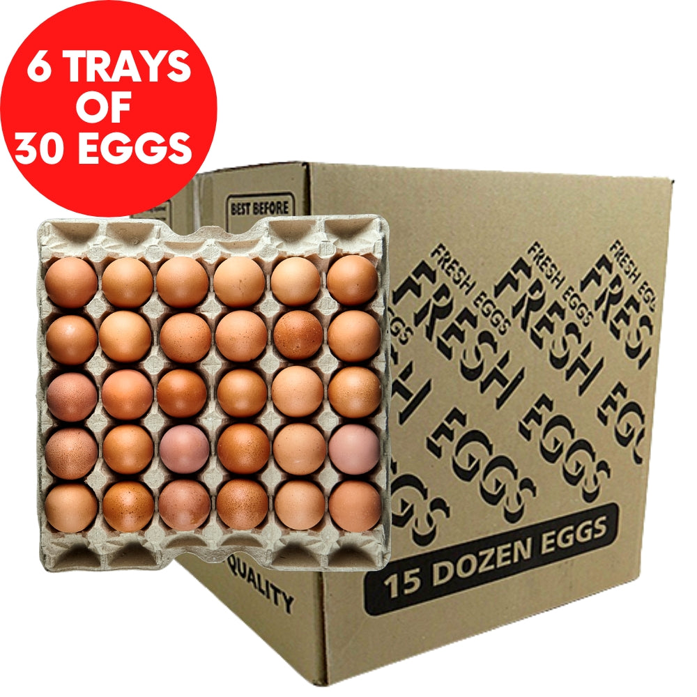 British Eggs 15 Dozen (180 Eggs) 雞蛋 (15打) - Soon Fung LTD