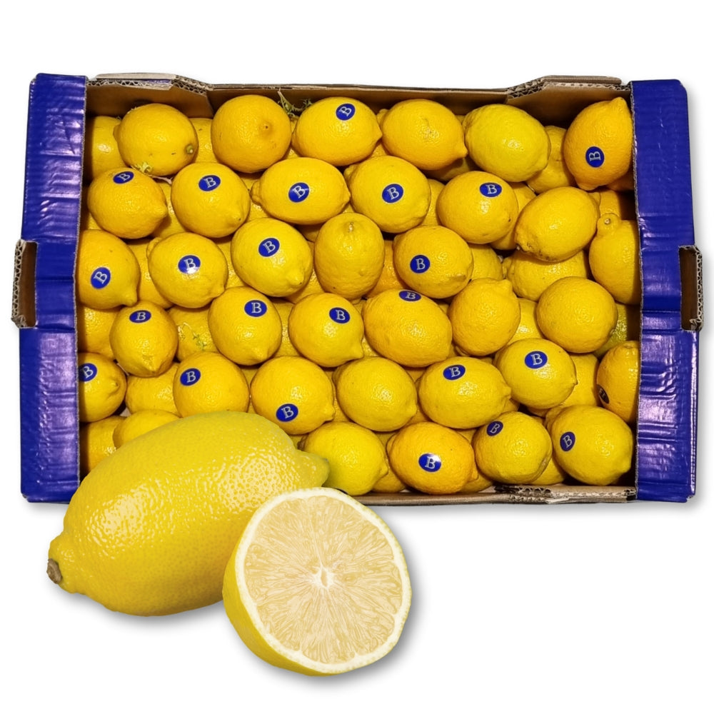 Fresh Large Lemons (63-72mm) (Approx. 80 pcs) 15kg - Soon Fung LTD