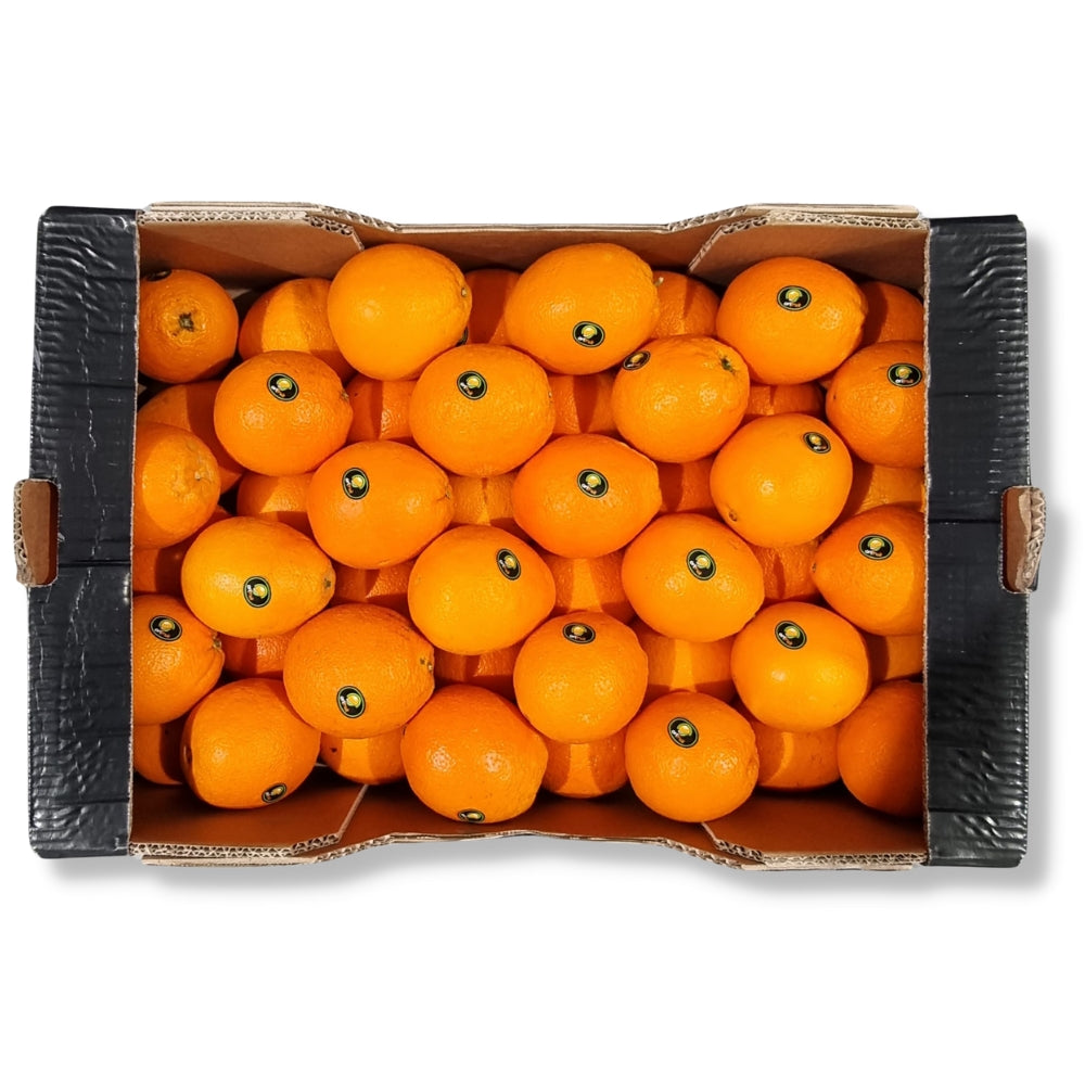 Extra-Large Navel Orange (Approx. 40-48 Pieces) 橙 - Soon Fung LTD