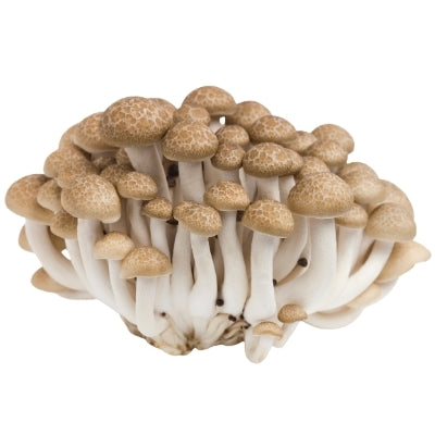 Brown Hon Shimeji Mushrooms (真姬菇) 150g - Soonfung