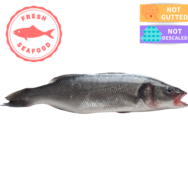 Fresh Whole Seabass 800-1000g (Large) Each - Soonfung