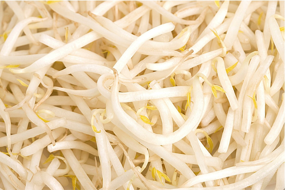 Jpao Fresh Beansprouts Large Pack (新鮮芽菜) 4kg - Soonfung