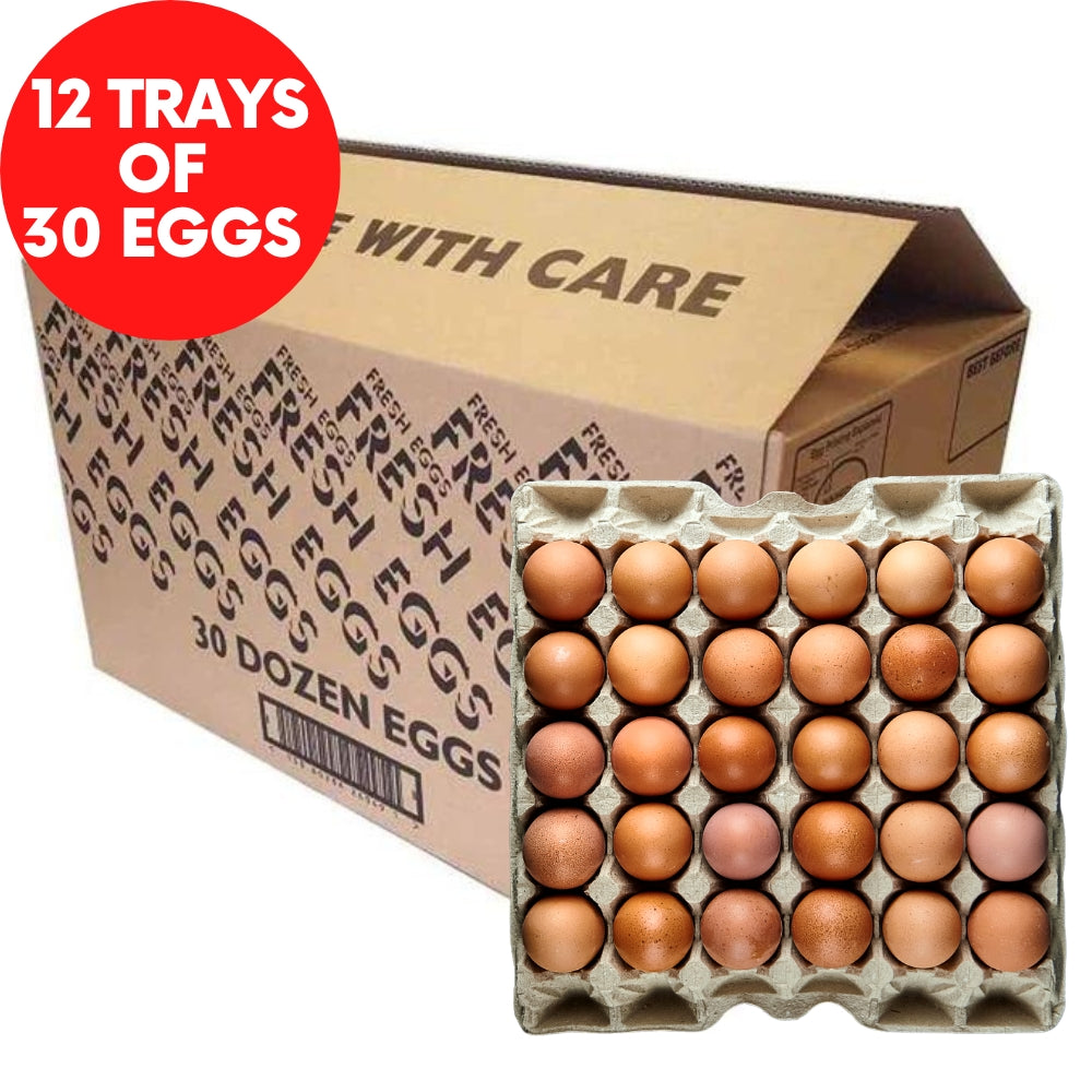 British Eggs 30 Dozen (360 Eggs) 雞蛋 (30打) - Soon Fung LTD