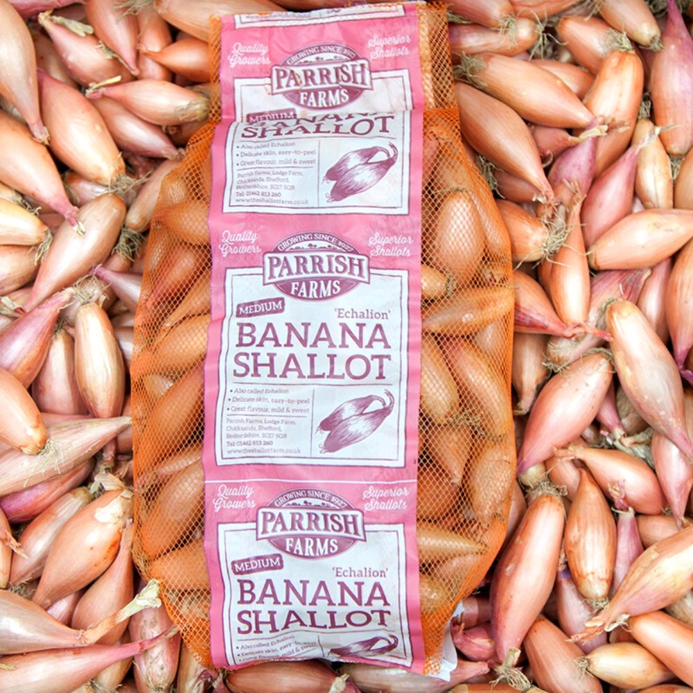 Parrish Farm Medium Banana Shallots 4kg 香蕉型乾蔥頭 (中型) - Soon Fung LTD