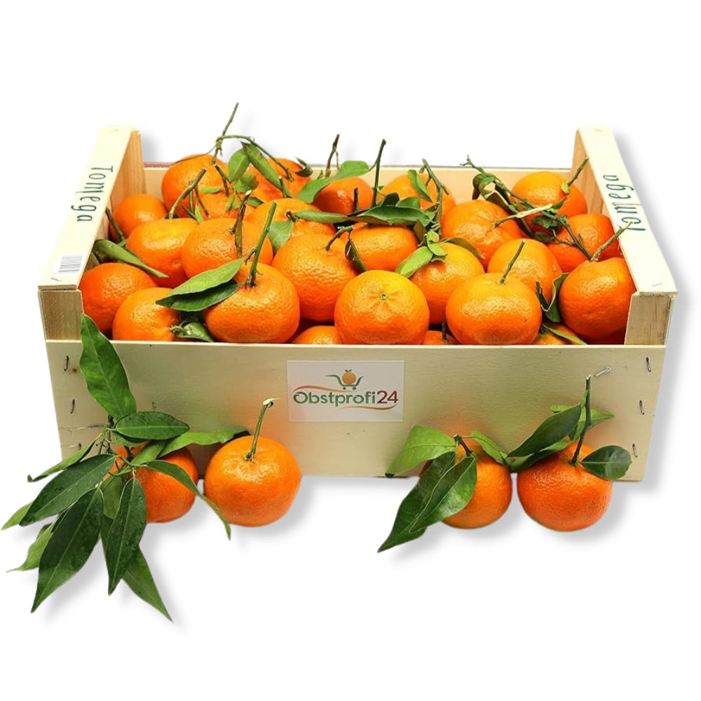 Leaf Clementines (case) (Approx. 60 Pieces) 有葉柑橘 (箱裝, 約六十個) - Soon Fung LTD