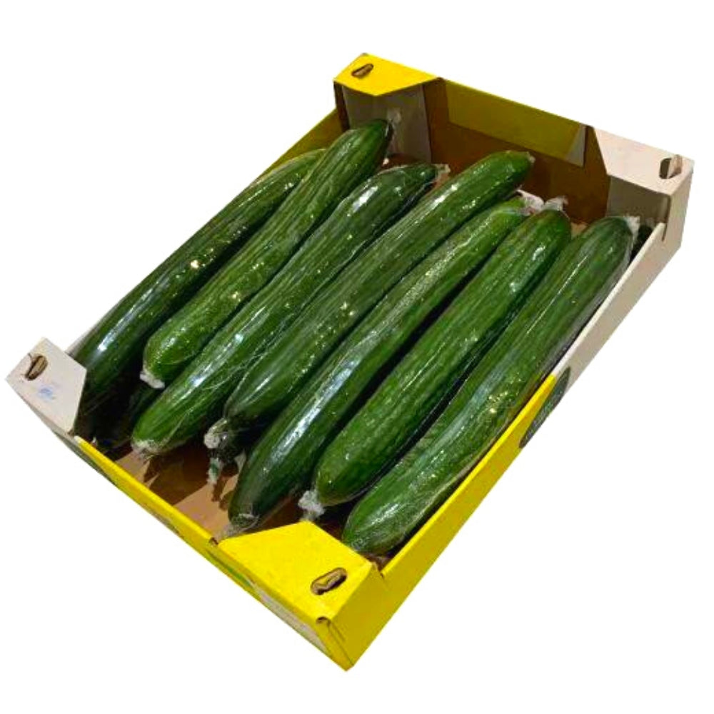 Cucumber (Box of 12) 青瓜 (12條) - Soon Fung LTD
