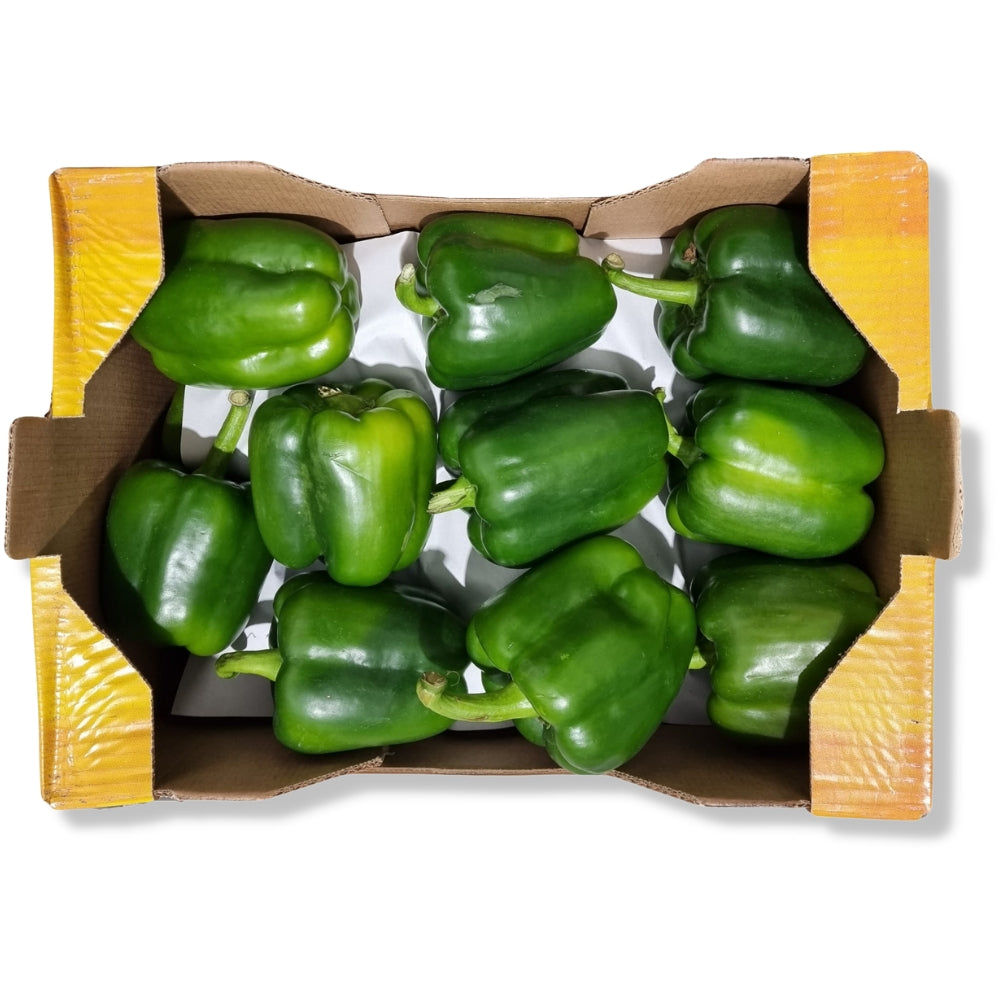 Green Pepper (GG 90-110mm) 5kg 青椒 - Soon Fung LTD