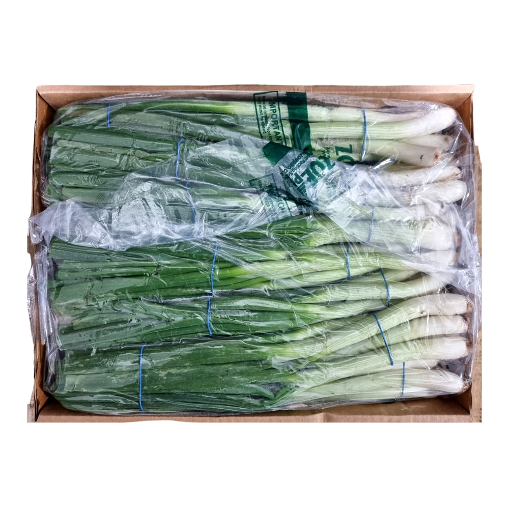 Egyptian Spring Onion (Box of 12 Bunch) - Soon Fung LTD