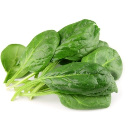 Zenith Baby Spinach (菠菜) 500g - Soonfung