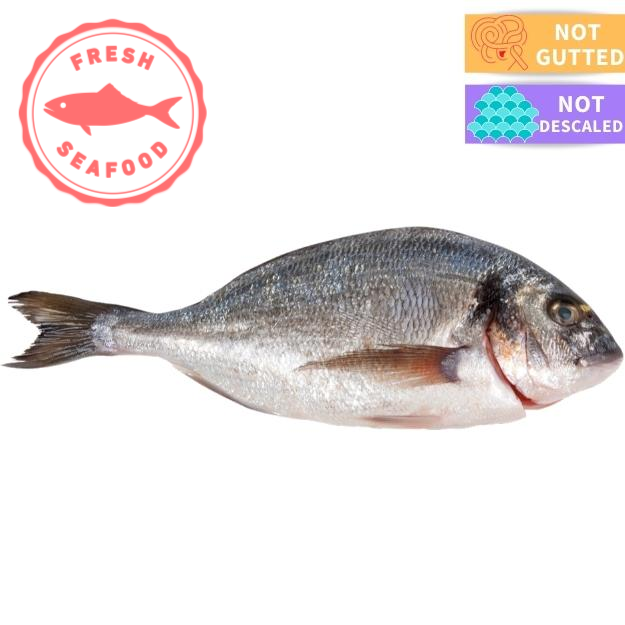 Fresh Whole Seabream 400-600g (Small) Each - Soonfung