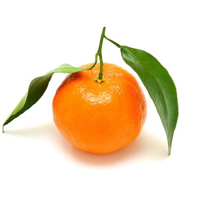 Leaf Clementine (Each) - Soon Fung LTD